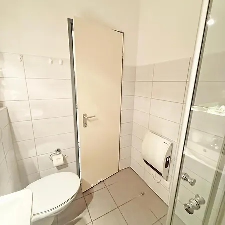 Haubentaucher
