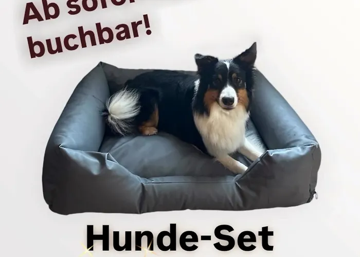 Haubentaucher